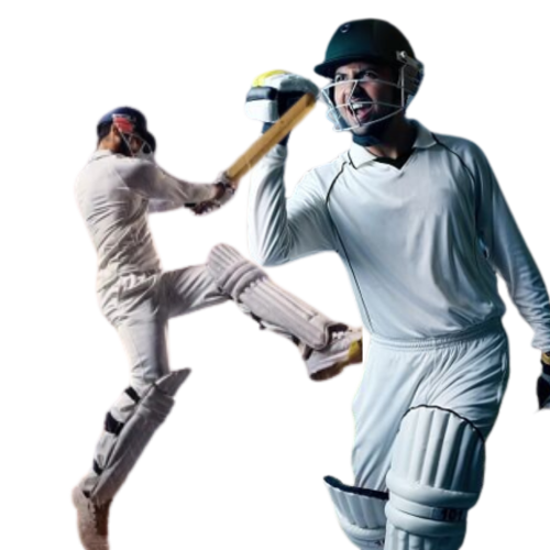 cricket betting image